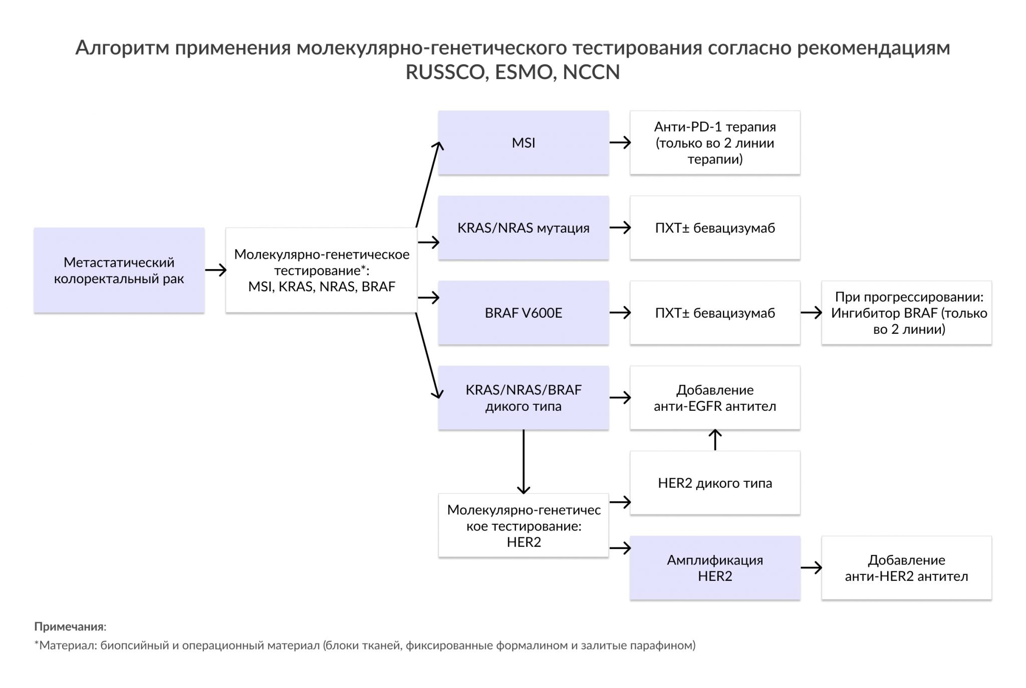 Доцетаксел трастузумаб пертузумаб схема