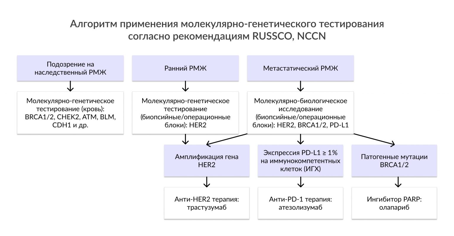 Доцетаксел трастузумаб пертузумаб схема